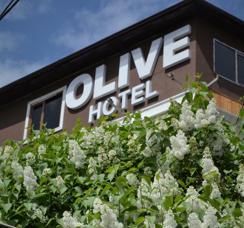 Olive Hotel Biskek Kültér fotó